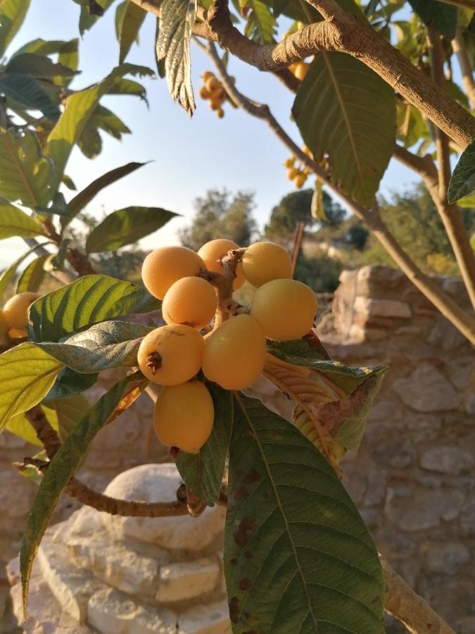 קפאצ'י Villa Nonna Nina מראה חיצוני תמונה